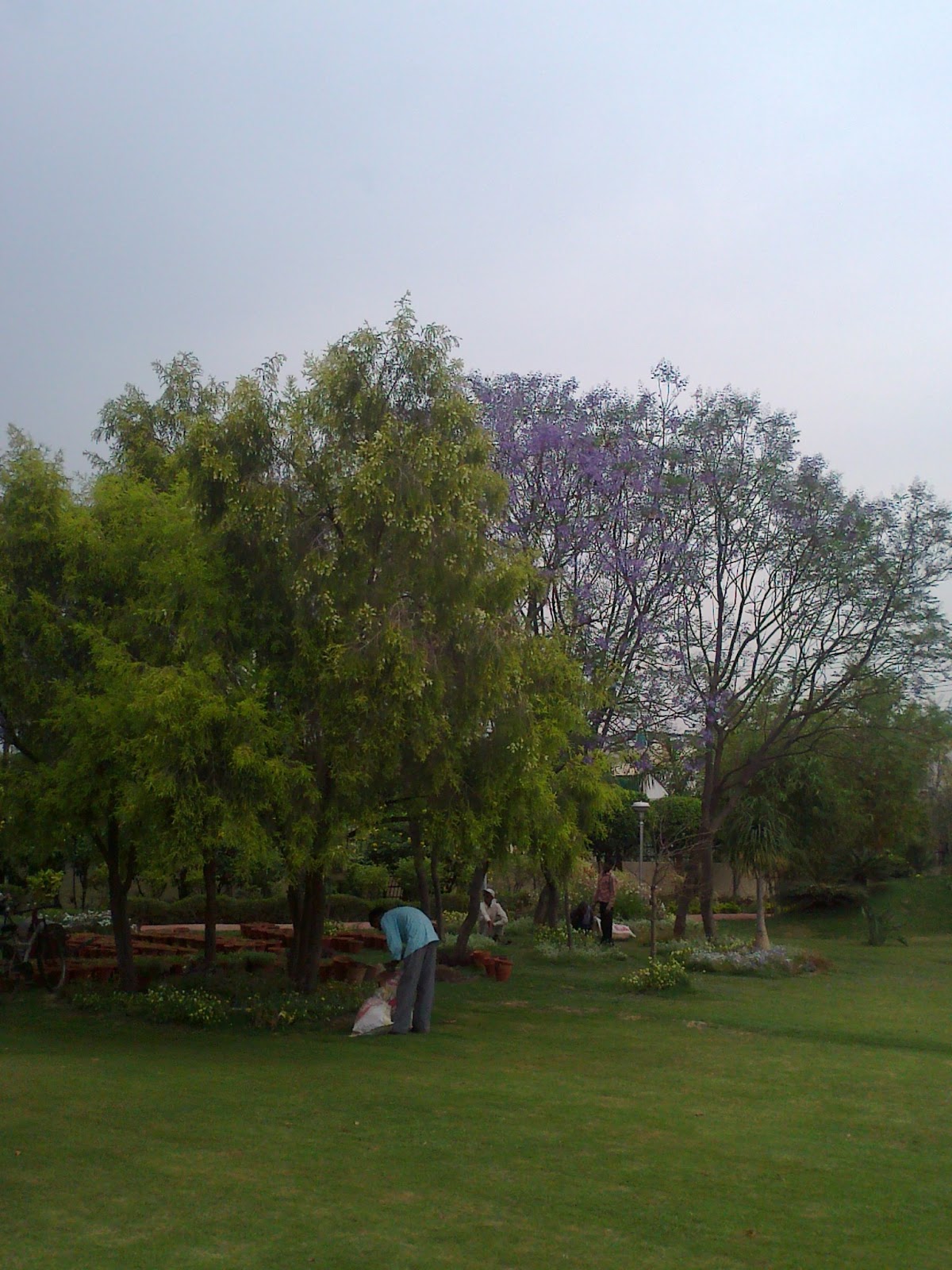 Living in Noida – Noida Parks – Lungs of the City