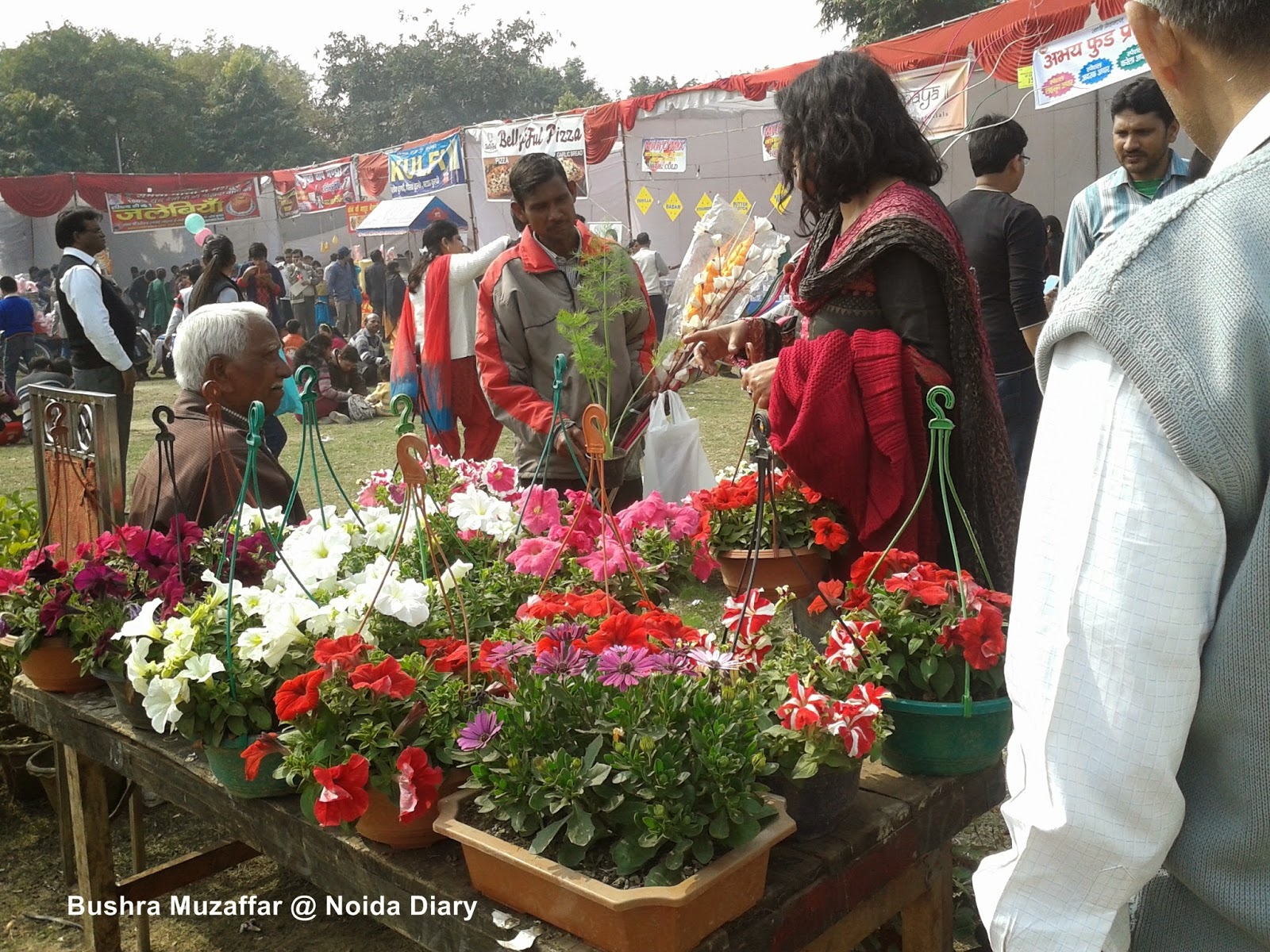 Floriculture - Horticulture stalls at Noida Flower Show 2014
