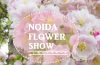 30th Noida Flower Show – Vasant Utsav 2016 in Noida
