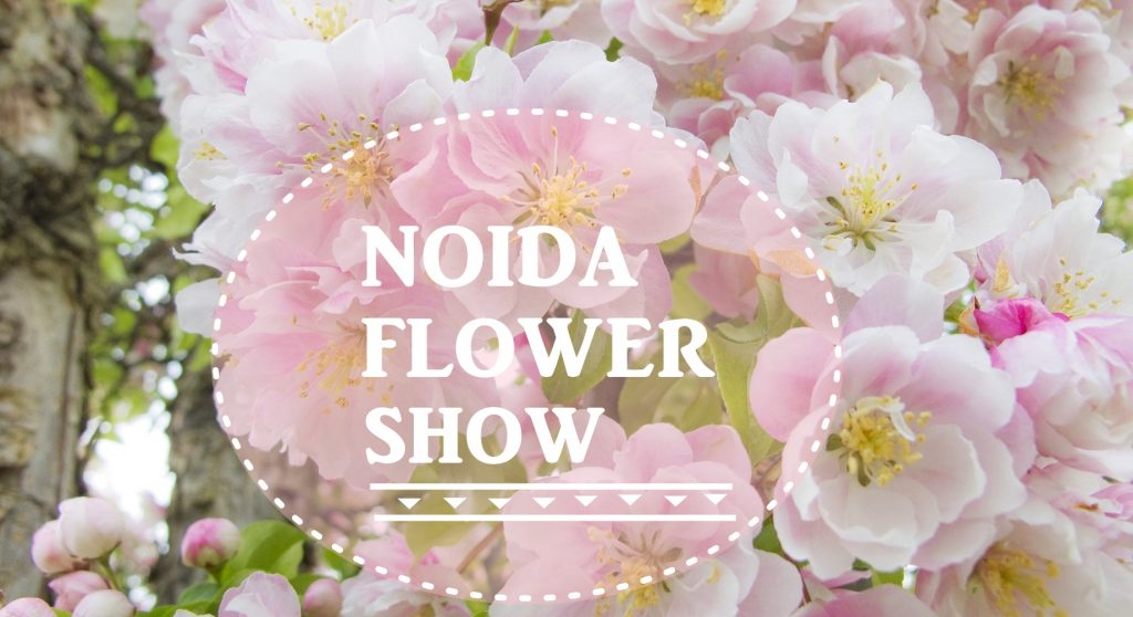 Noida Flower Show