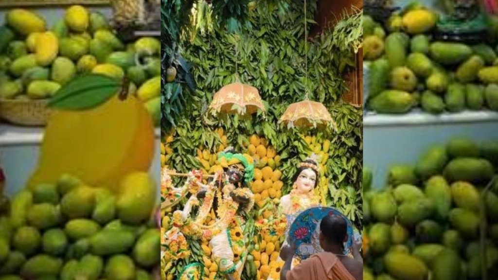 Mango decorations and offerings during ISKCON Noida Mango Festival celebration