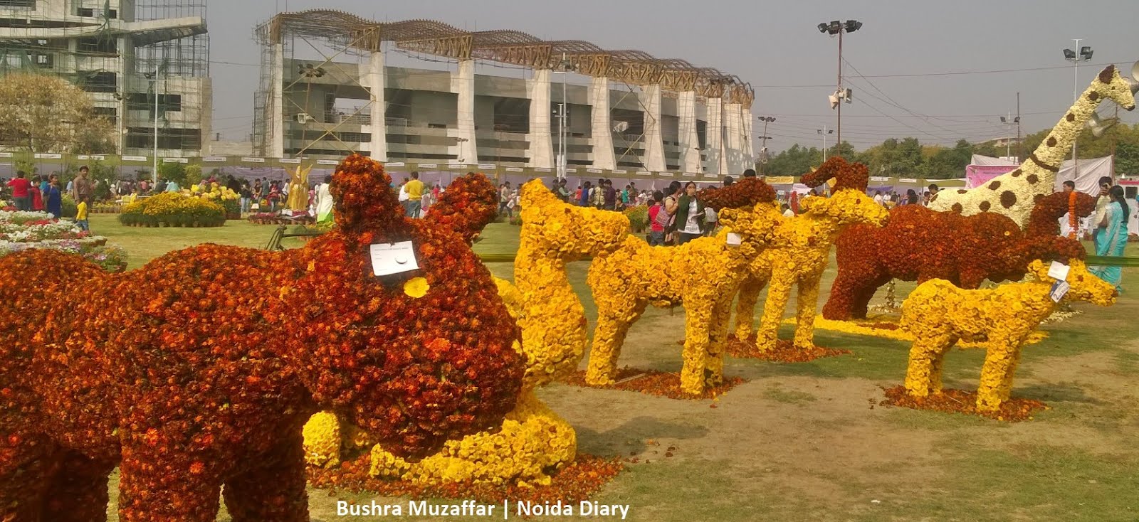 Floral Topiary at Noida Flower Show 2016