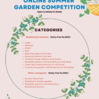 Virtual Summer Garden Competition by FSN