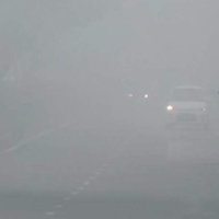 Dense Fog Engulfs Noida