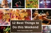 12 Best Things to Do in Noida This Weekend (June 27-28)