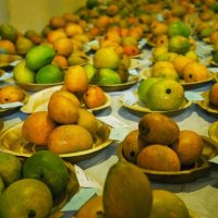 Mango Festivals in Delhi NCR 2026: Best Melas & Events Worth Visiting