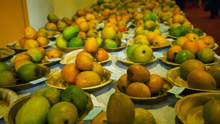 Mango Festivals in Delhi NCR 2026: Best Melas & Events Worth Visiting